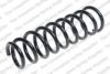 LESJ?FORS 4259256 Coil Spring